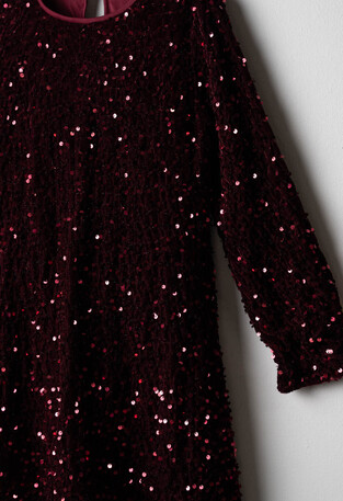 Ebita velvet dress in burgundy color with sequins and matching bag.