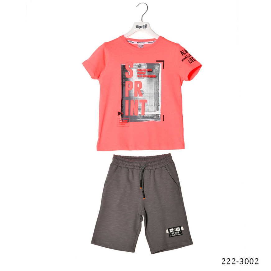 Set of SPRINT shorts, shirt with print on the sleeve and shorts in gray color.