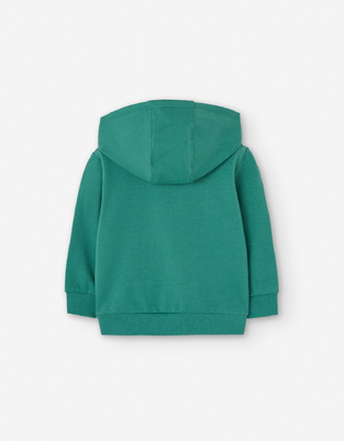 LOSAN sweatshirt in green color, with hood.