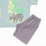 TRAX shorts set in mint color with "ROAR" logo.