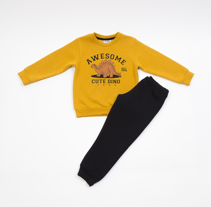 TRAX tracksuit set, dinosaur print sweatshirt and elastic waist pants.
